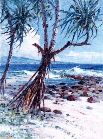 Lauhala by D. Howard Hitchcock